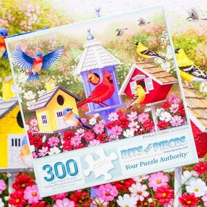 BEAUTIFUL Birds in "Primary Colors" Jigsaw Puzzle by Bits and Pieces